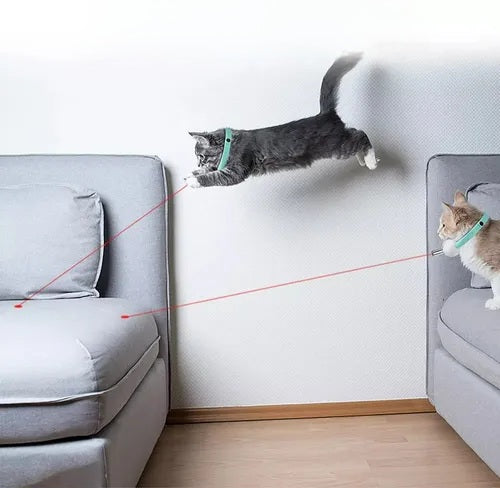 H - COLLAR CON LASER PARA MASCOTAS