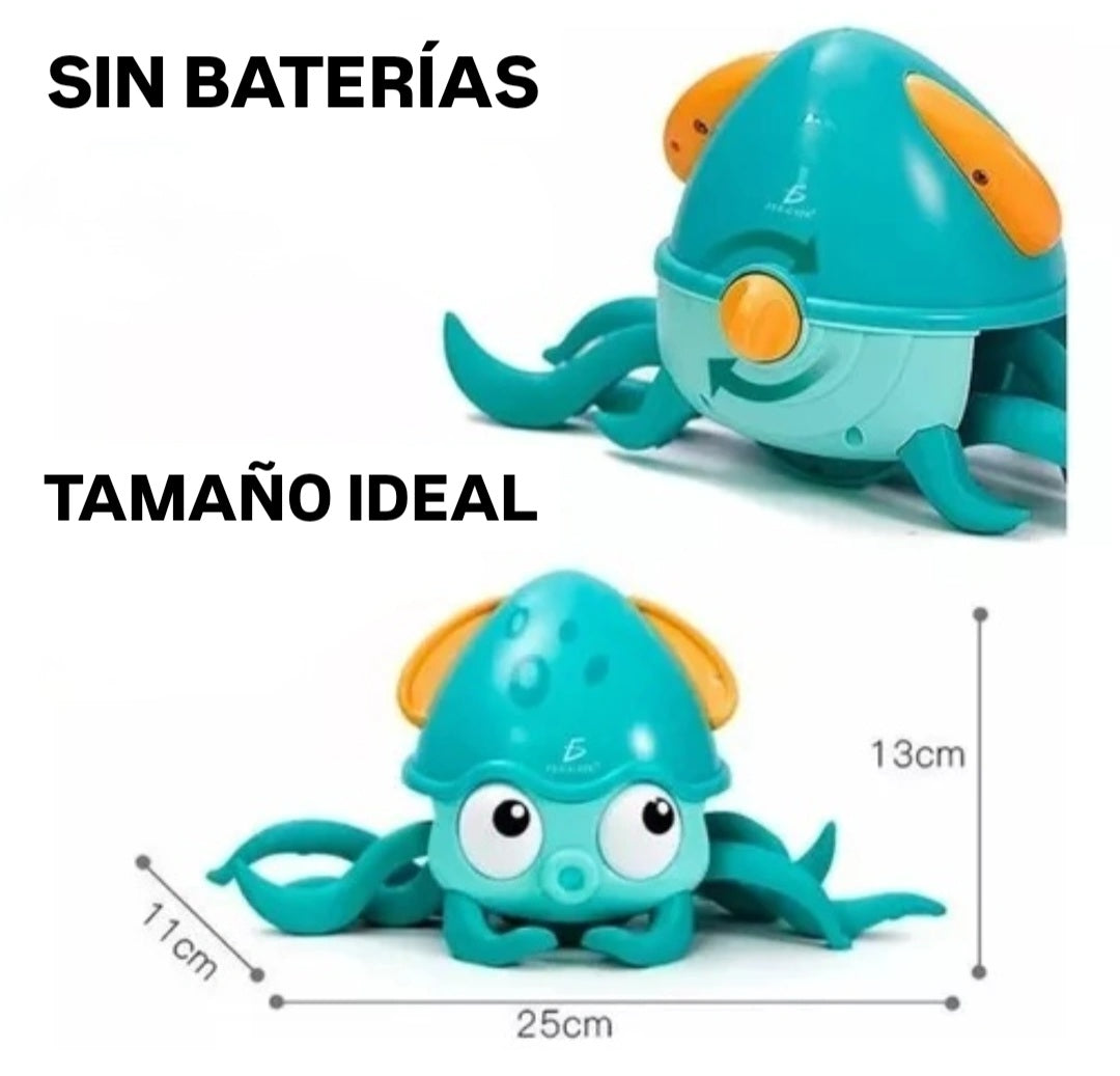 Pulpo Interactivo